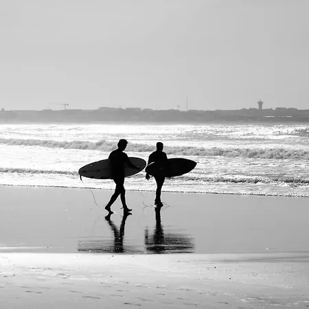 O Caminho Da * 费雷尔