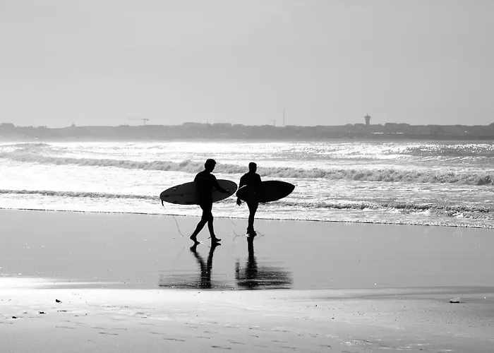 O Caminho Da * Ferrel